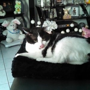 Meet your Posher, Pamela